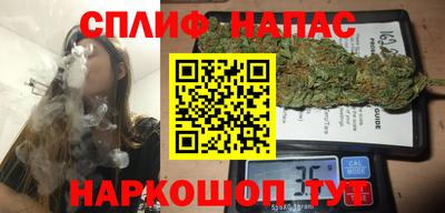 молекула духа Тулун