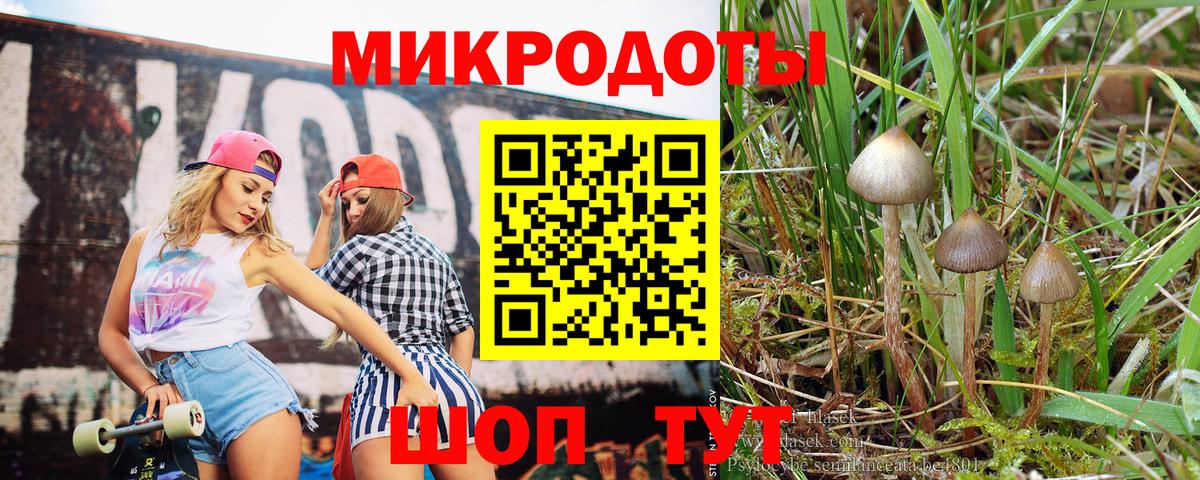 Псилоцибиновые грибы GOLDEN TEACHER  Вход с VPN  закладка  Ливны 